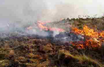 Pinhão - Brigada Comunitária atende 04 ocorrências de incêndio em vegetação no Domingo